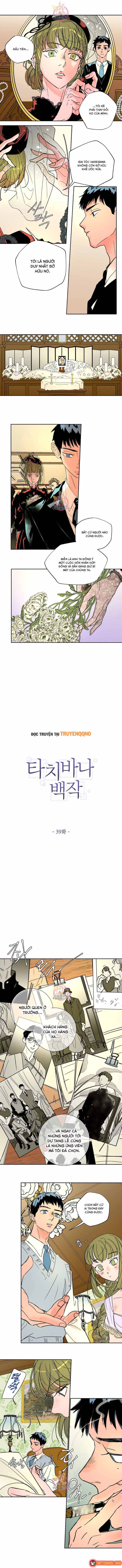 Bá Tước Tachibana Chapter 39 - 2