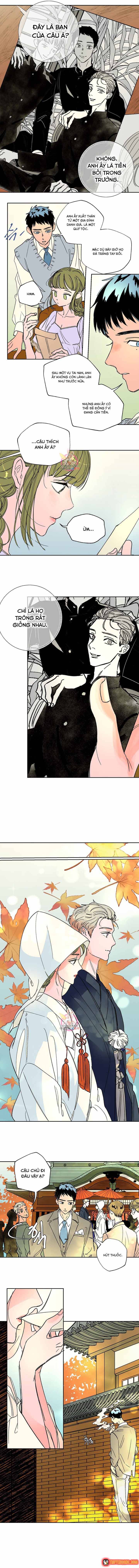 Bá Tước Tachibana Chapter 39 - 3