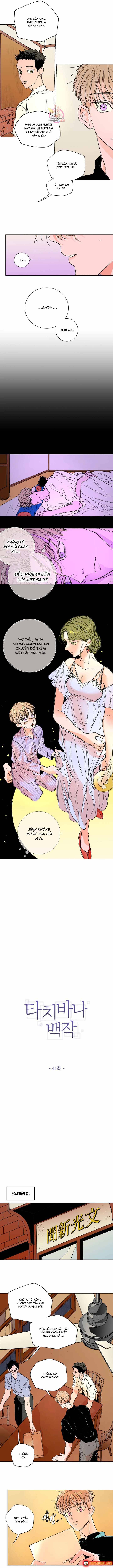 Bá Tước Tachibana Chapter 41 - 3