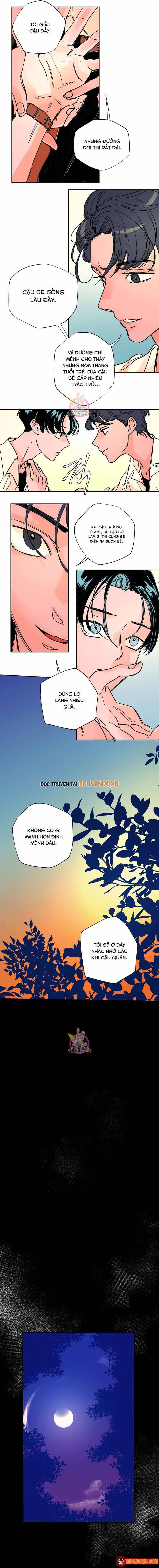 Bá Tước Tachibana Chapter 39 - 9