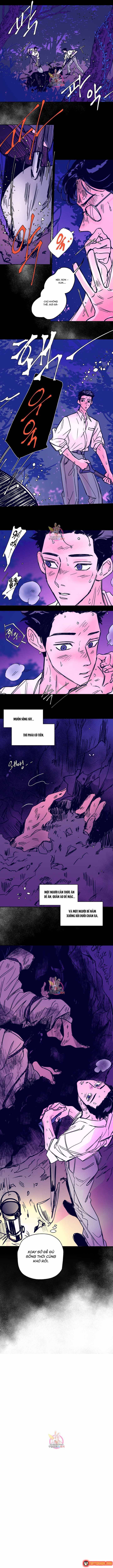 Bá Tước Tachibana Chapter 39 - 10