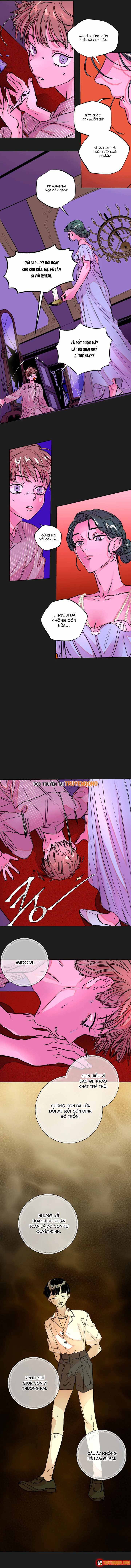 Bá Tước Tachibana Chapter 42 - 4