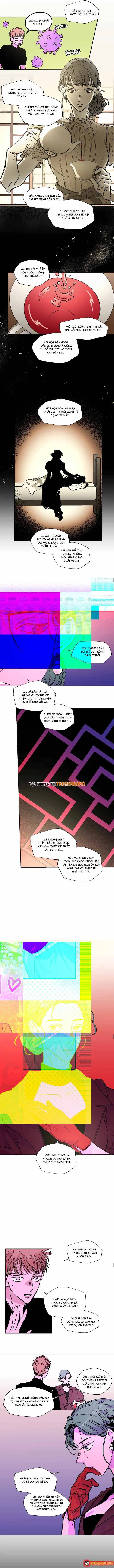 Bá Tước Tachibana Chapter 43 - 4