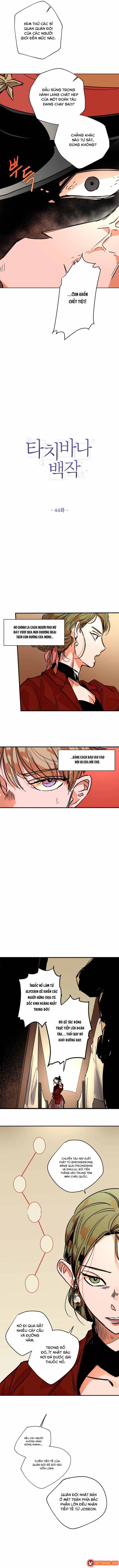 Bá Tước Tachibana Chapter 44 - 7