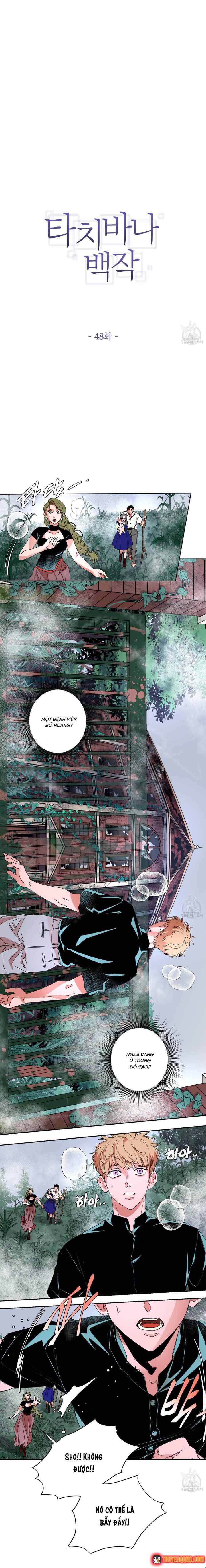 Bá Tước Tachibana Chapter 48 - 2