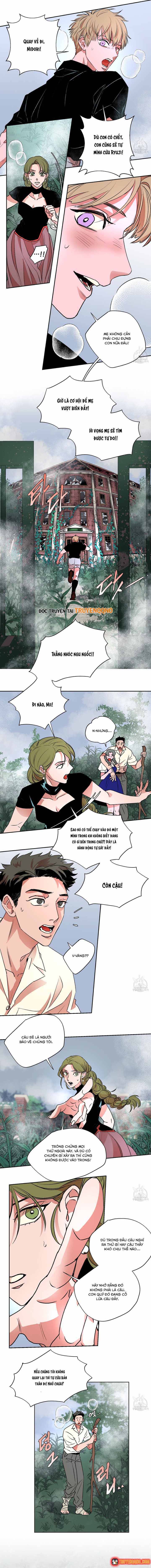 Bá Tước Tachibana Chapter 48 - 3