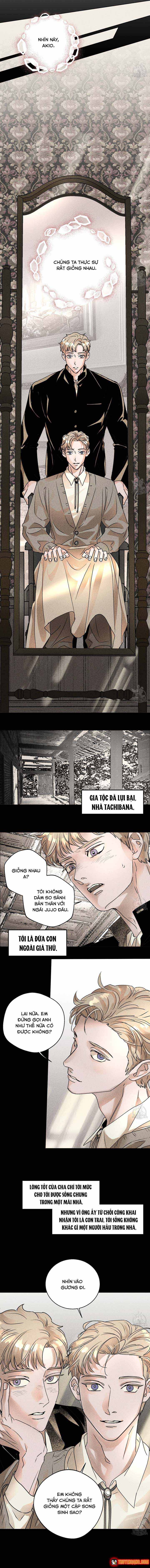 Bá Tước Tachibana Chapter 50 - 4