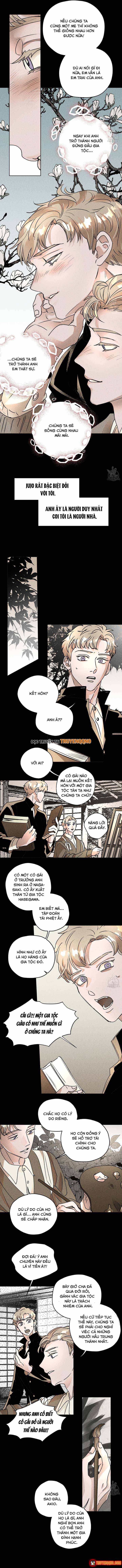 Bá Tước Tachibana Chapter 50 - 5