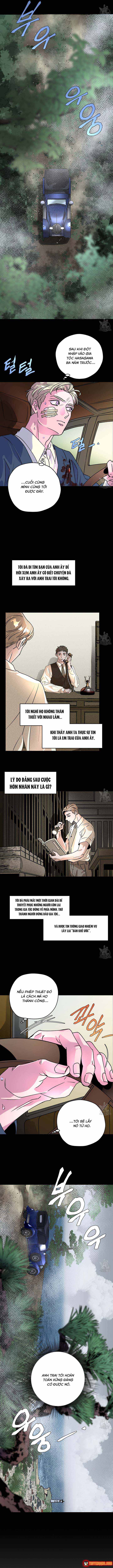 Bá Tước Tachibana Chapter 50 - 7