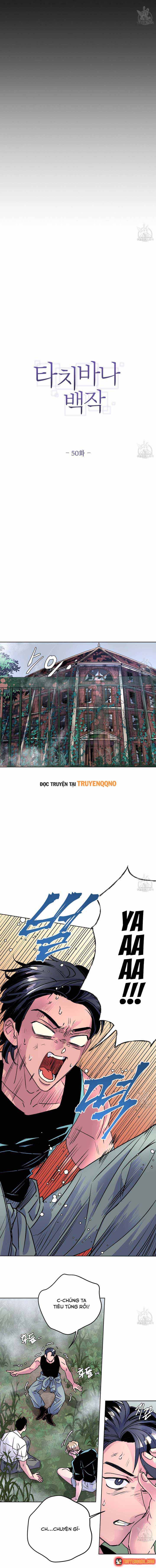 Bá Tước Tachibana Chapter 50 - 8