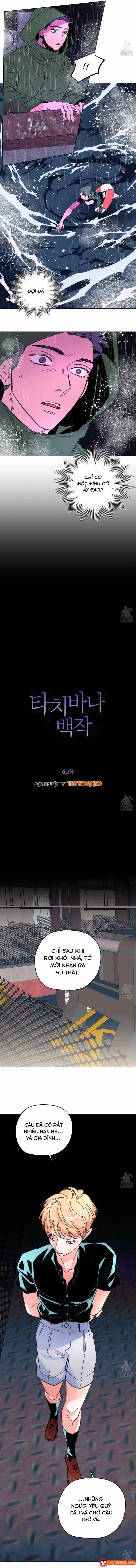 Bá Tước Tachibana Chapter 60 - 3