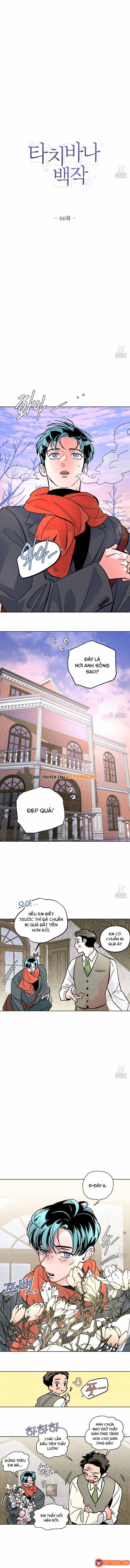 Bá Tước Tachibana Chapter 66 - 3