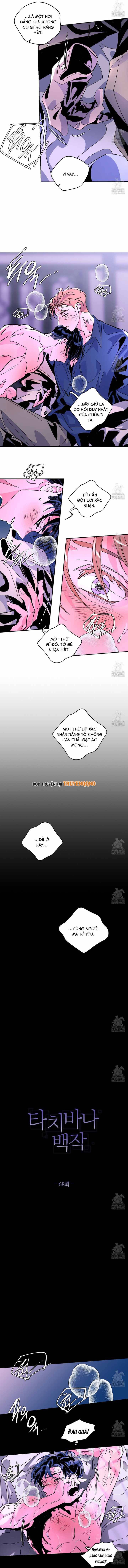 Bá Tước Tachibana Chapter 68 - 5