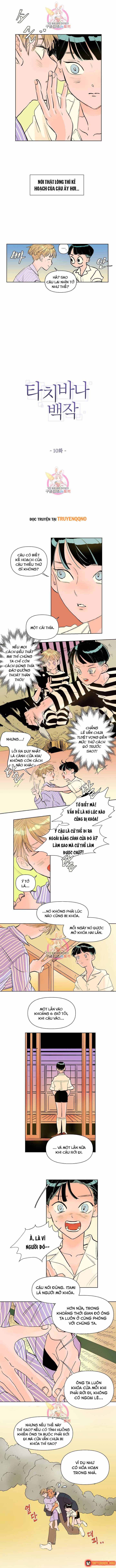 Bá Tước Tachibana Chapter 11 - 2