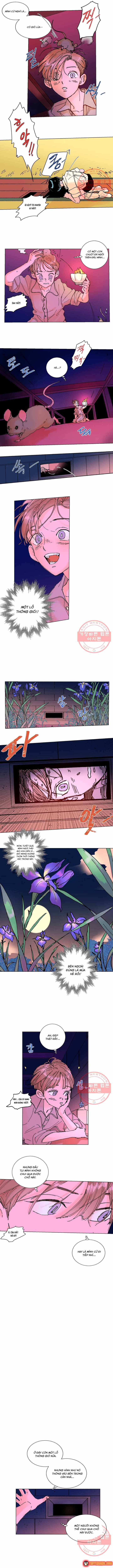 Bá Tước Tachibana Chapter 10 - 5