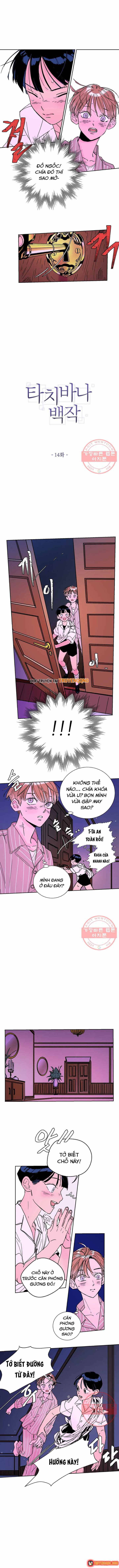 Bá Tước Tachibana Chapter 14 - 2