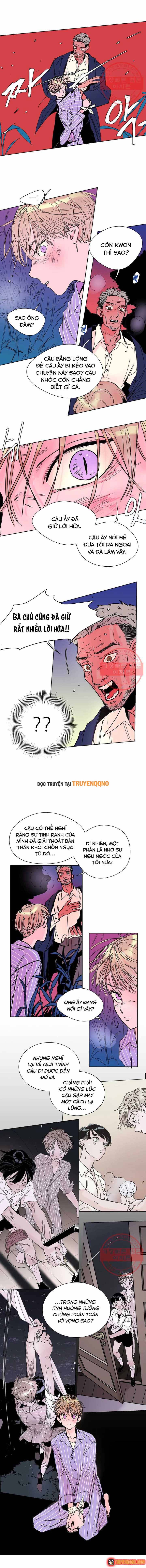 Bá Tước Tachibana Chapter 15 - 4