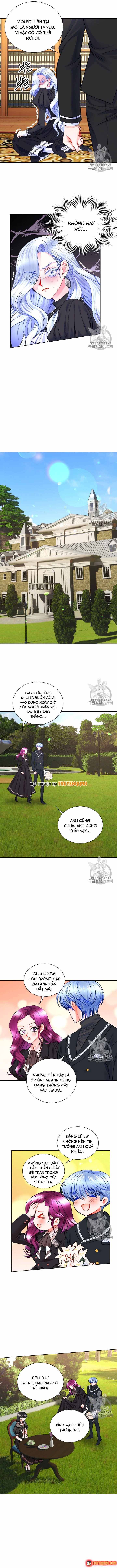 Công Nương Trong Hoàn Cảnh Cực Hạn Chapter 41 - 6