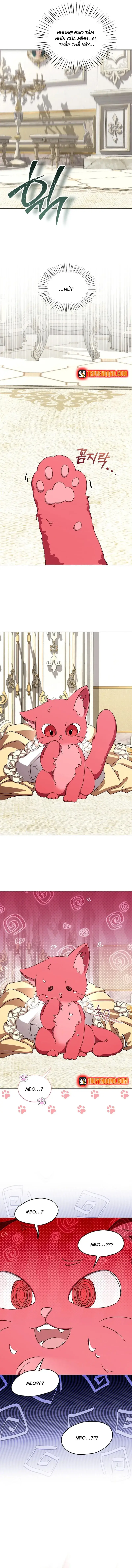 Hôn Phu Luôn Muốn Nuôi Nấng Tôi Chapter 34 - 11