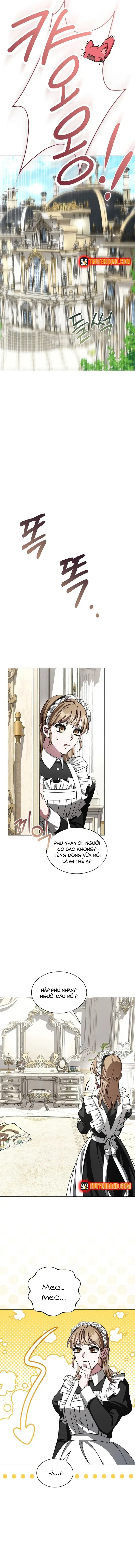 Hôn Phu Luôn Muốn Nuôi Nấng Tôi Chapter 34 - 12