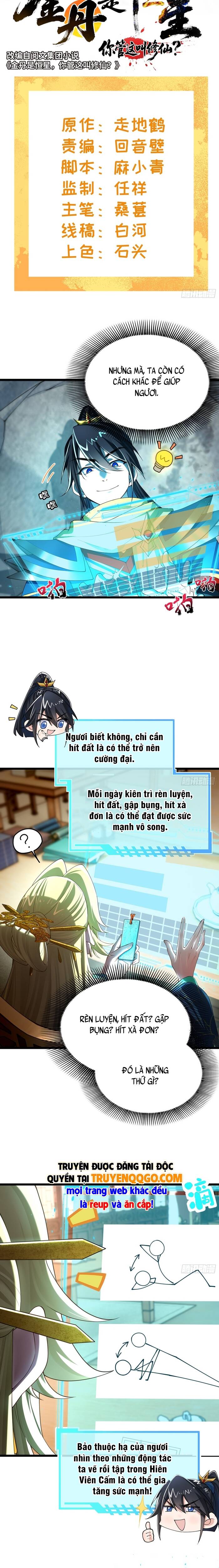 Kim Đan Là Hằng Tinh, Ngươi Gọi Đây Là Tu Tiên À? Chapter 11 - 8