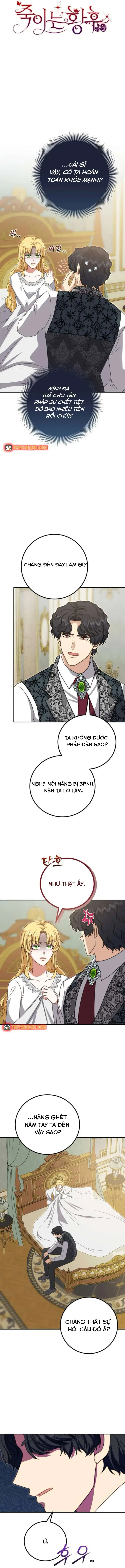 Hoàng Hậu Sát Thủ Chapter 35 - 12