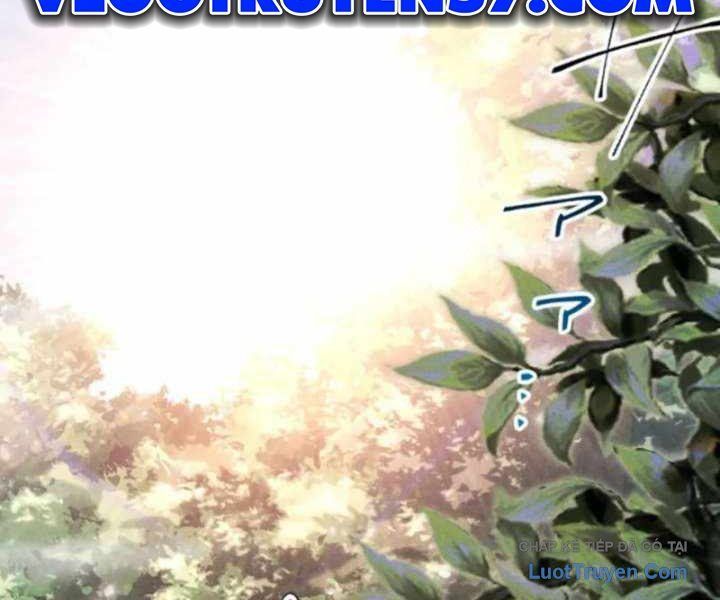 Tổ Sư Hồi Quy: Tái Sinh Thành Hậu Duệ Sau Nghìn Năm Chapter 13 - 96