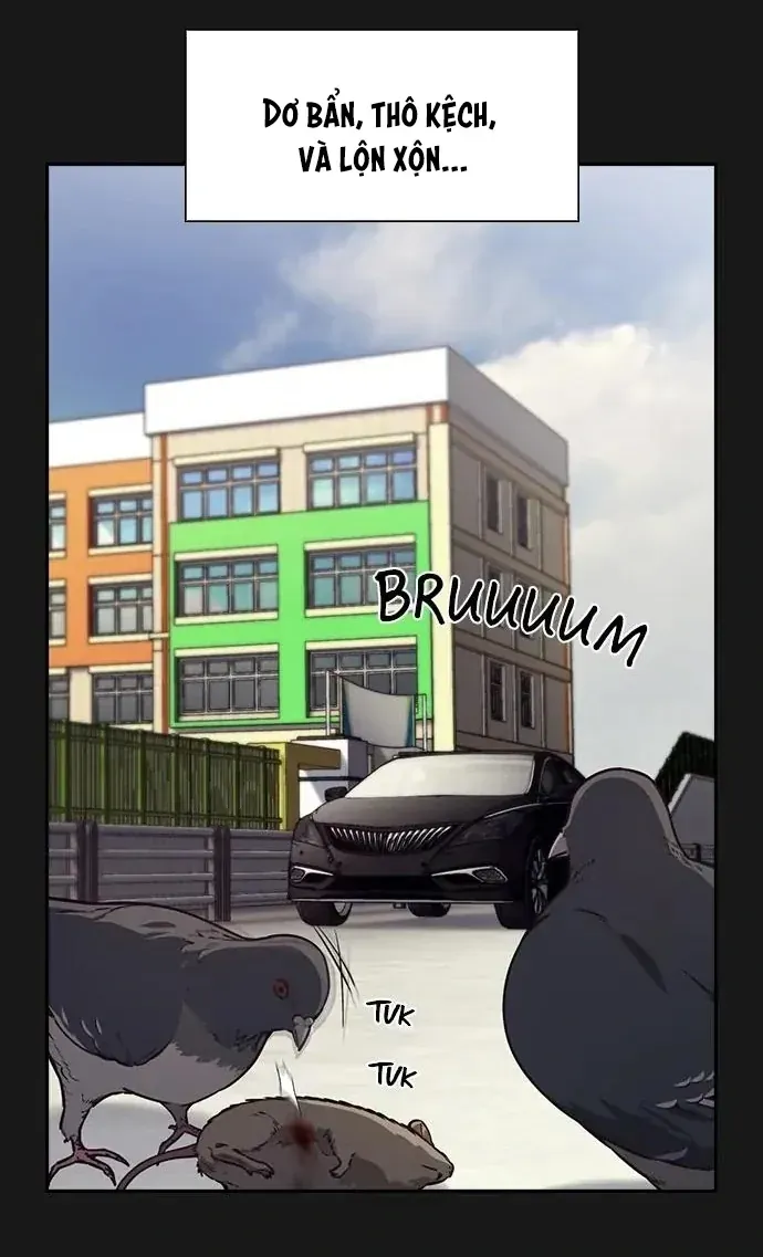 Cạnh Tranh Thân Thiện (Friendly Rivalry) Chapter 31 - 17