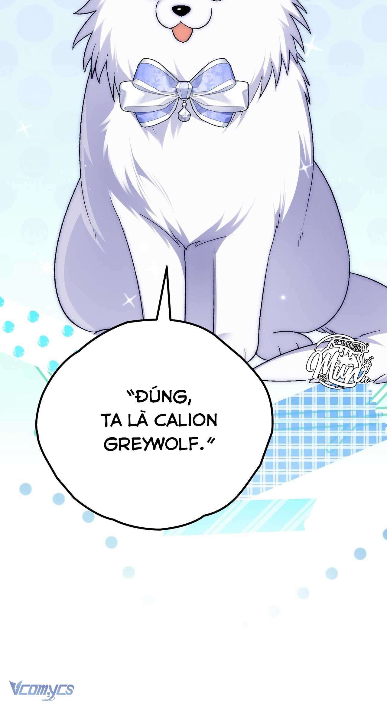 Gửi Đến Người Sói Yêu Dấu Của Em Chapter 12 - 8
