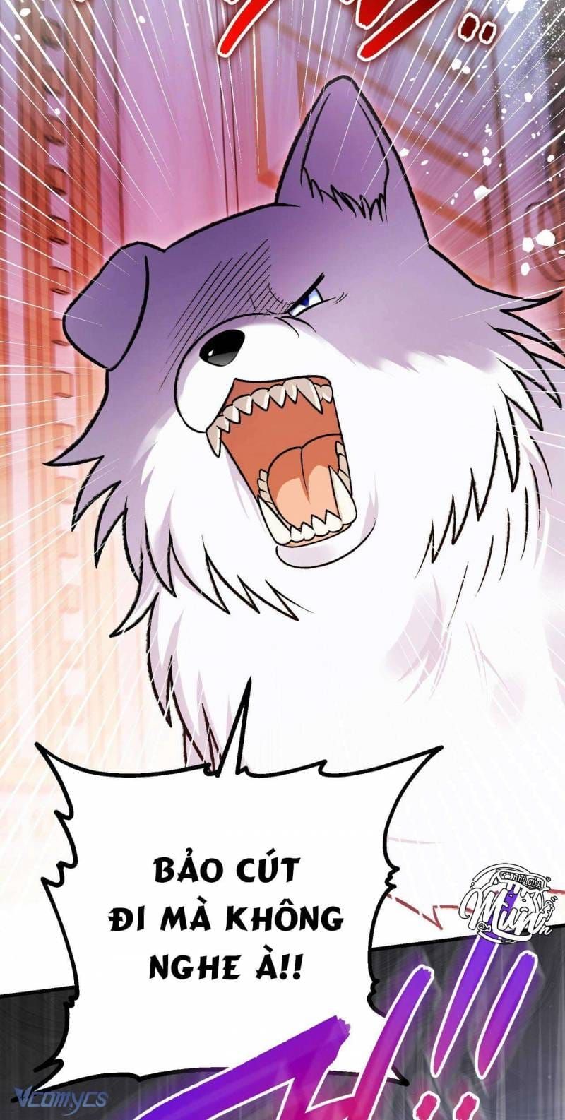 Gửi Đến Người Sói Yêu Dấu Của Em Chapter 15 - 11