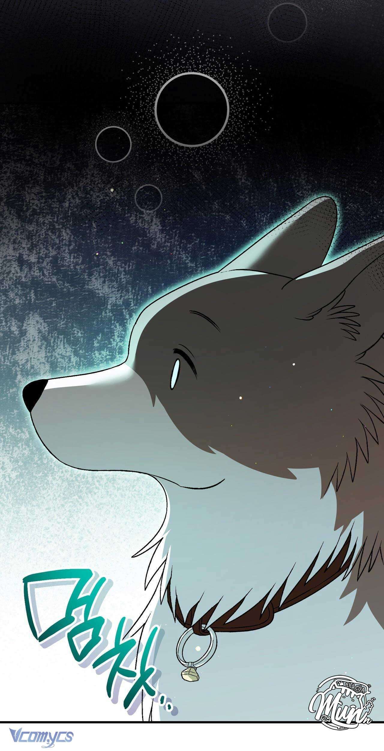 Gửi Đến Người Sói Yêu Dấu Của Em Chapter 19 - 74