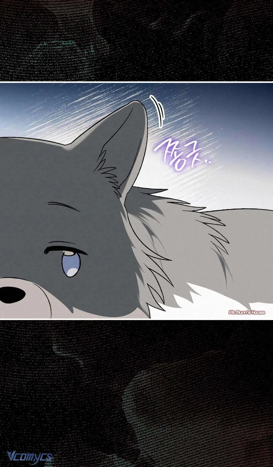 Gửi Đến Người Sói Yêu Dấu Của Em Chapter 20 - 93