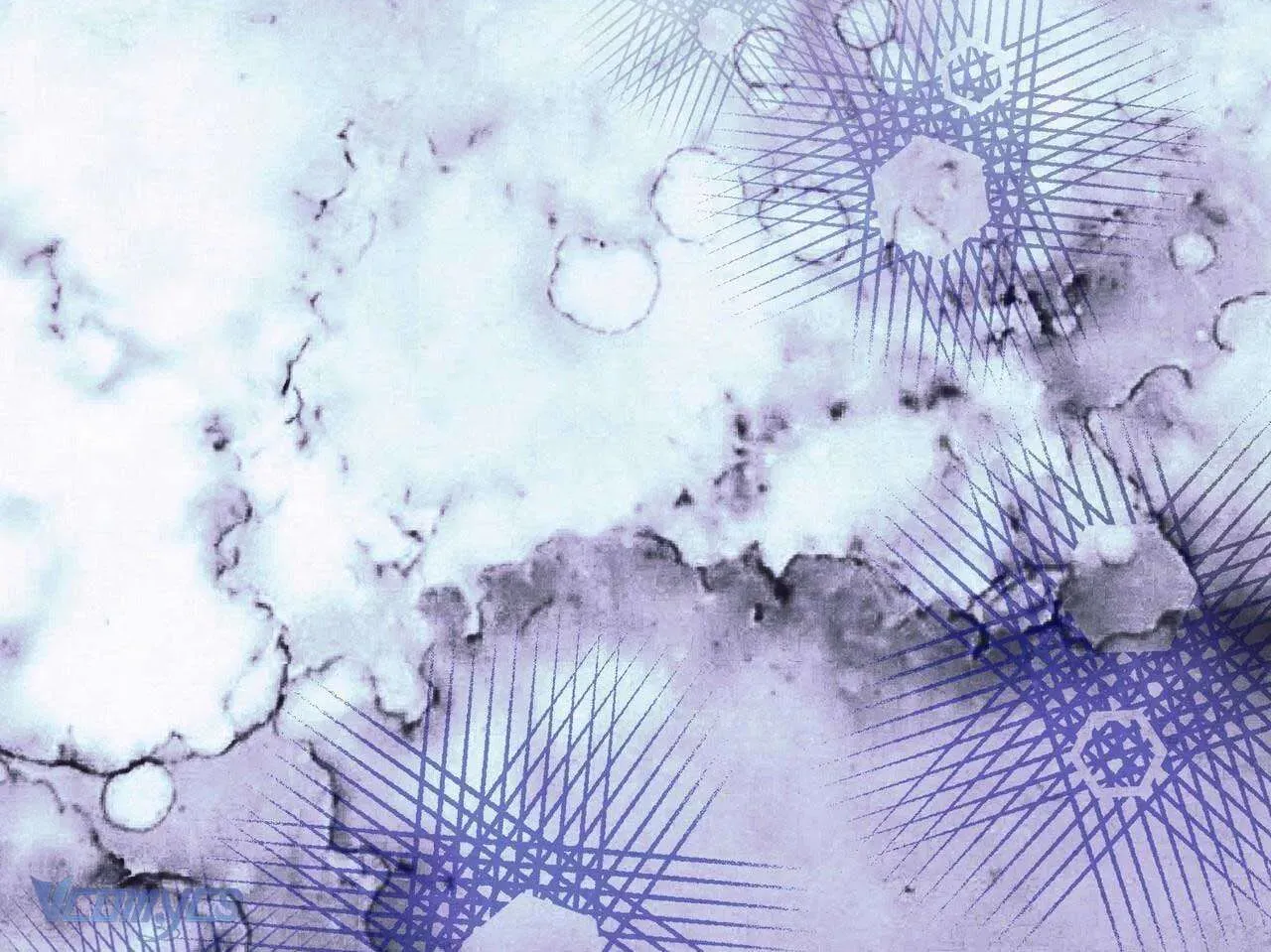 Gửi Đến Người Sói Yêu Dấu Của Em Chapter 34 - 37