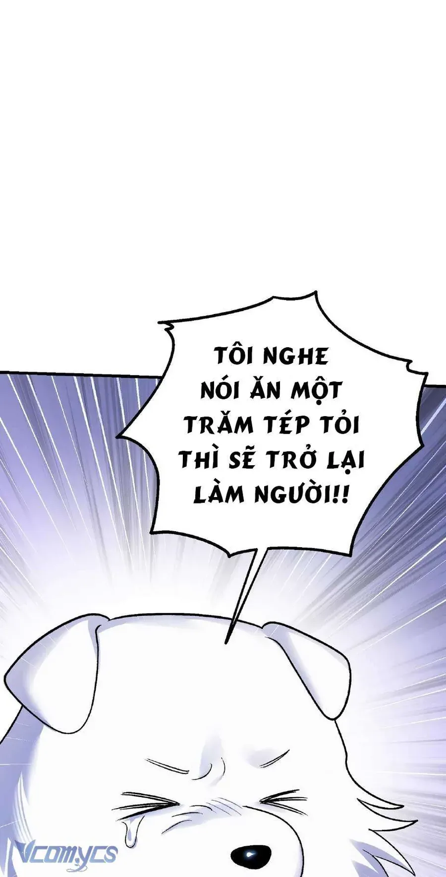 Gửi Đến Người Sói Yêu Dấu Của Em Chapter 6 - 17