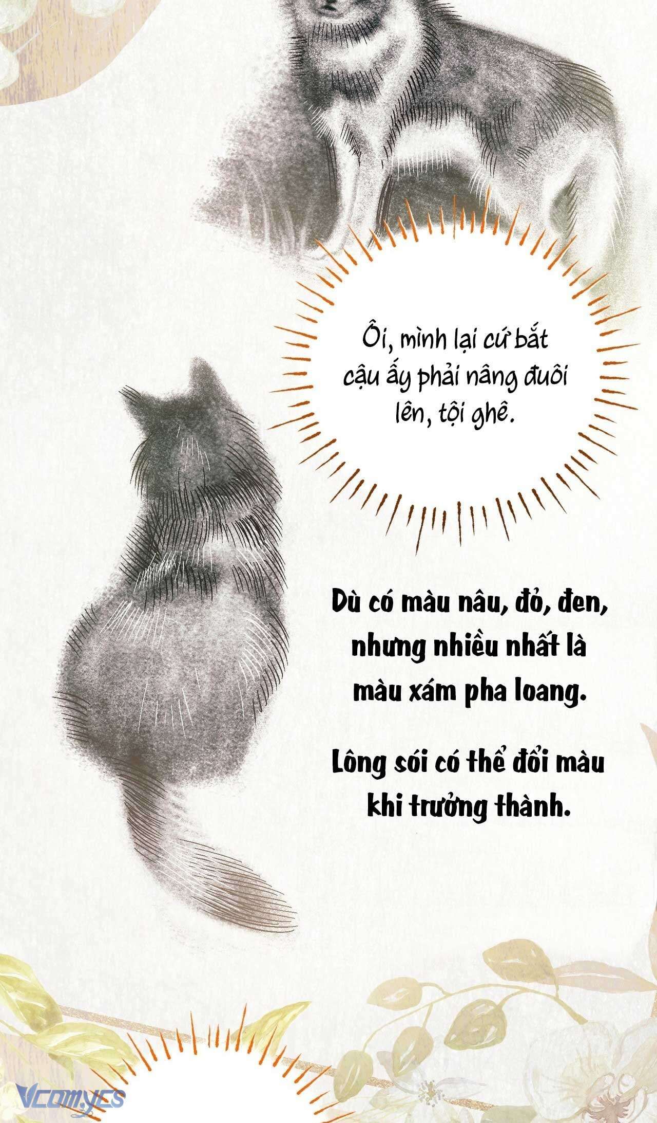 Gửi Đến Người Sói Yêu Dấu Của Em Chapter 9 - 77