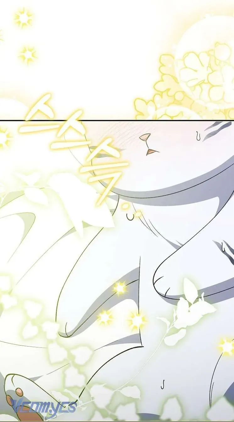 Công Chúa Bạch Hổ Không Có Nguy Hiểm Nha! Chapter 9 - 40