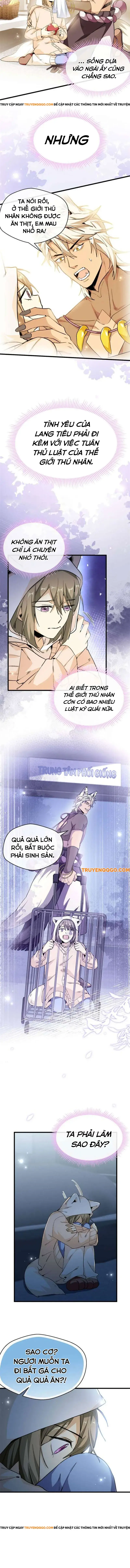 Anh Đã Vượt Quá Giới Hạn Rồi, Chủ Nhân Ngu Ngốc Chapter 43 - 5