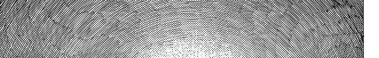 Sanda Chapter 82 - 54