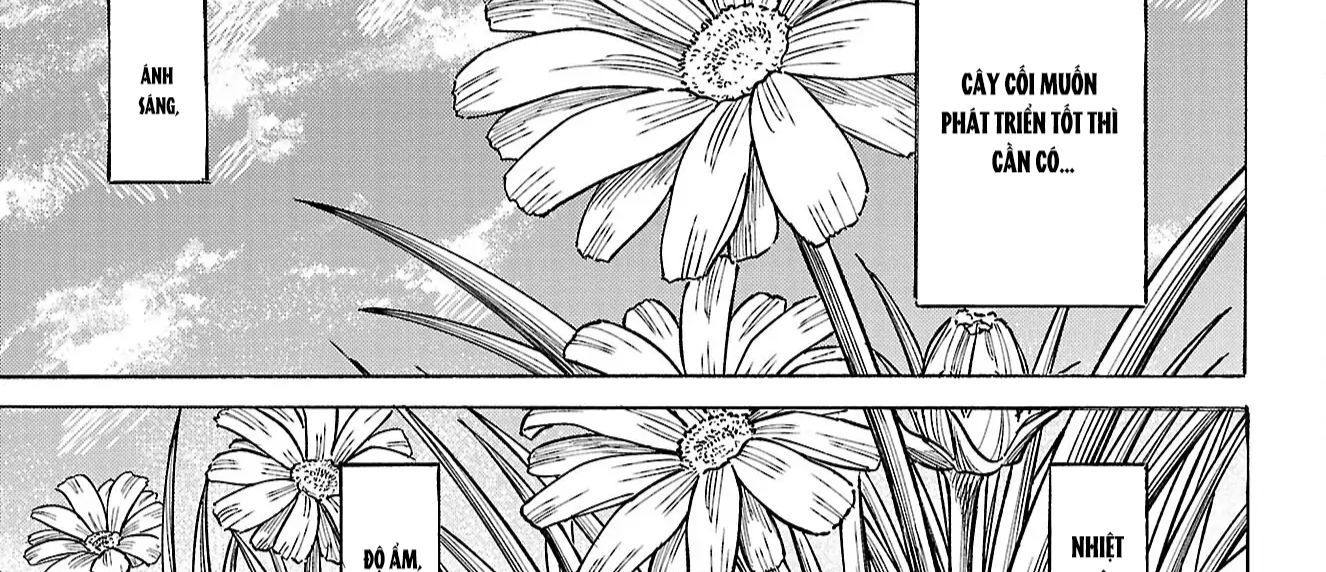 Sanda Chapter 86 - 1