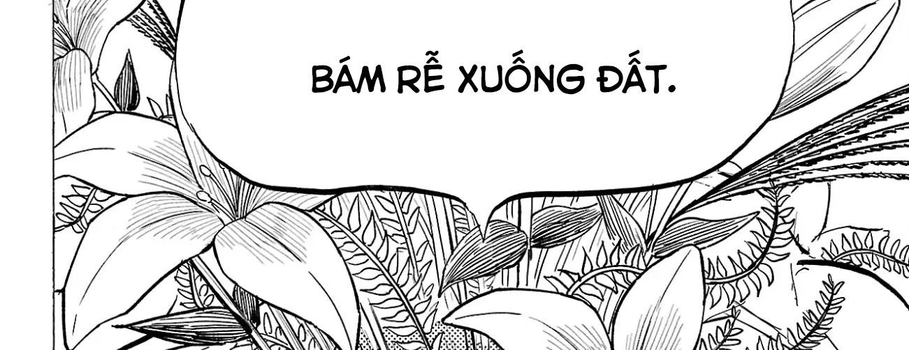 Sanda Chapter 89 - 12