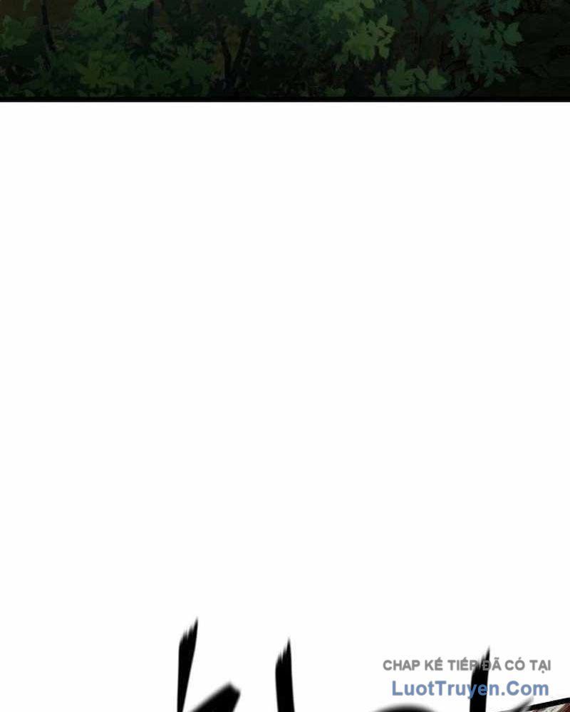 Tiểu Nữ Che Giấu Thiên Phú Võ Công Chapter 12 - 67
