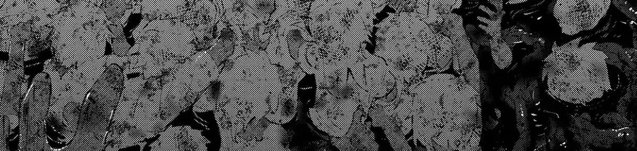 Roll Over And Die - Cùng Thanh Kiếm Nguyền Rủa Chapter 18 - 15