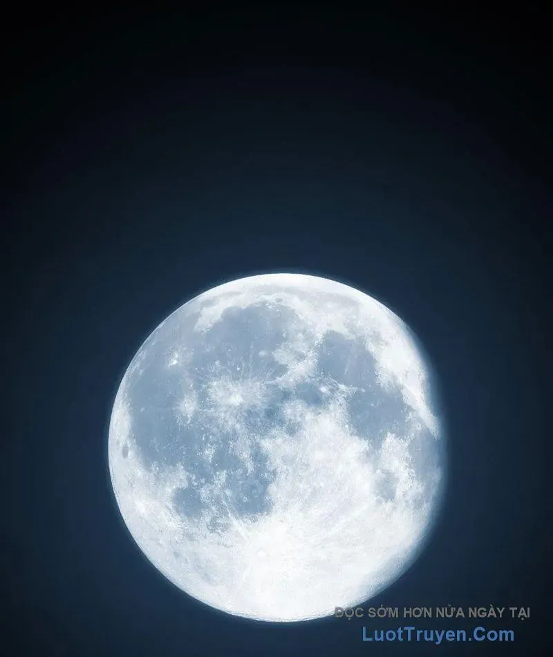 Tội Ác Chi Thành Chapter 3 - 116