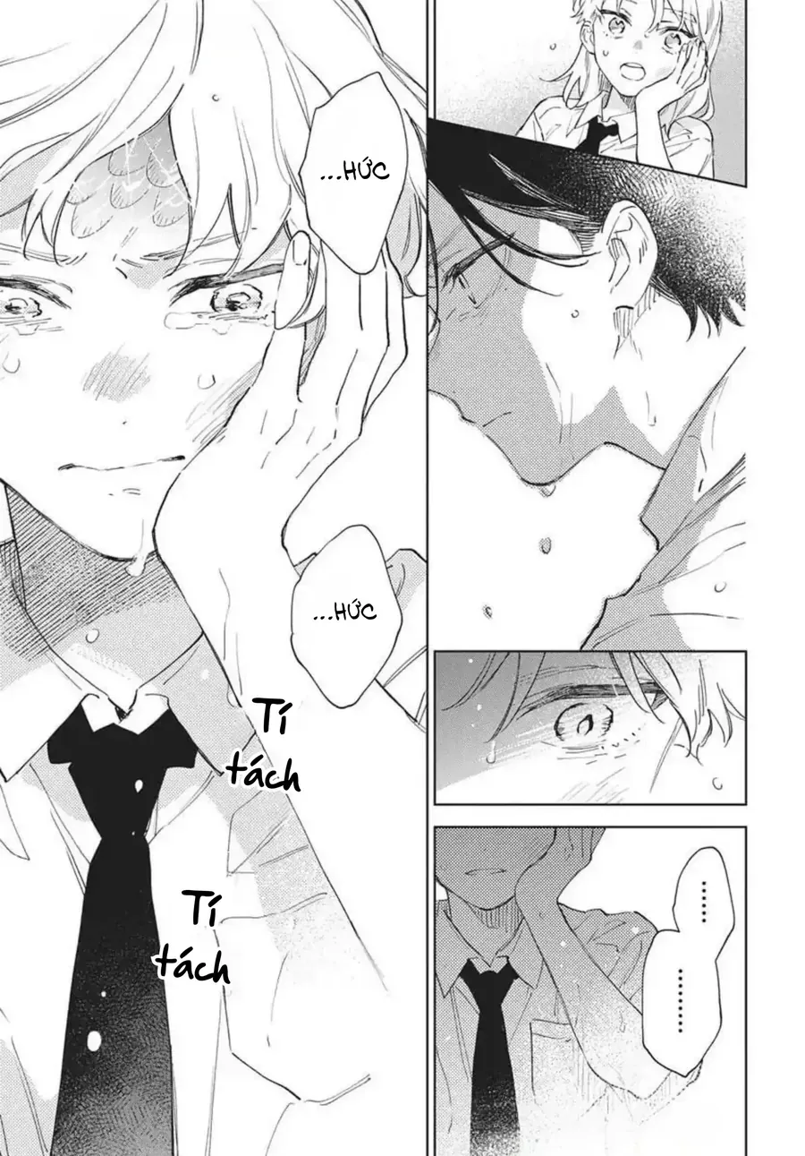 Nơi Gió Biển Ru Giấc Rồng Thiêng. Chapter 8 - 7