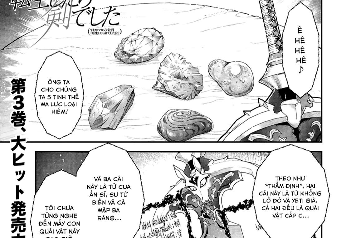 Khi Tôi Chuyển Sinh Thành Một Thanh Kiếm Chapter 17 - 2