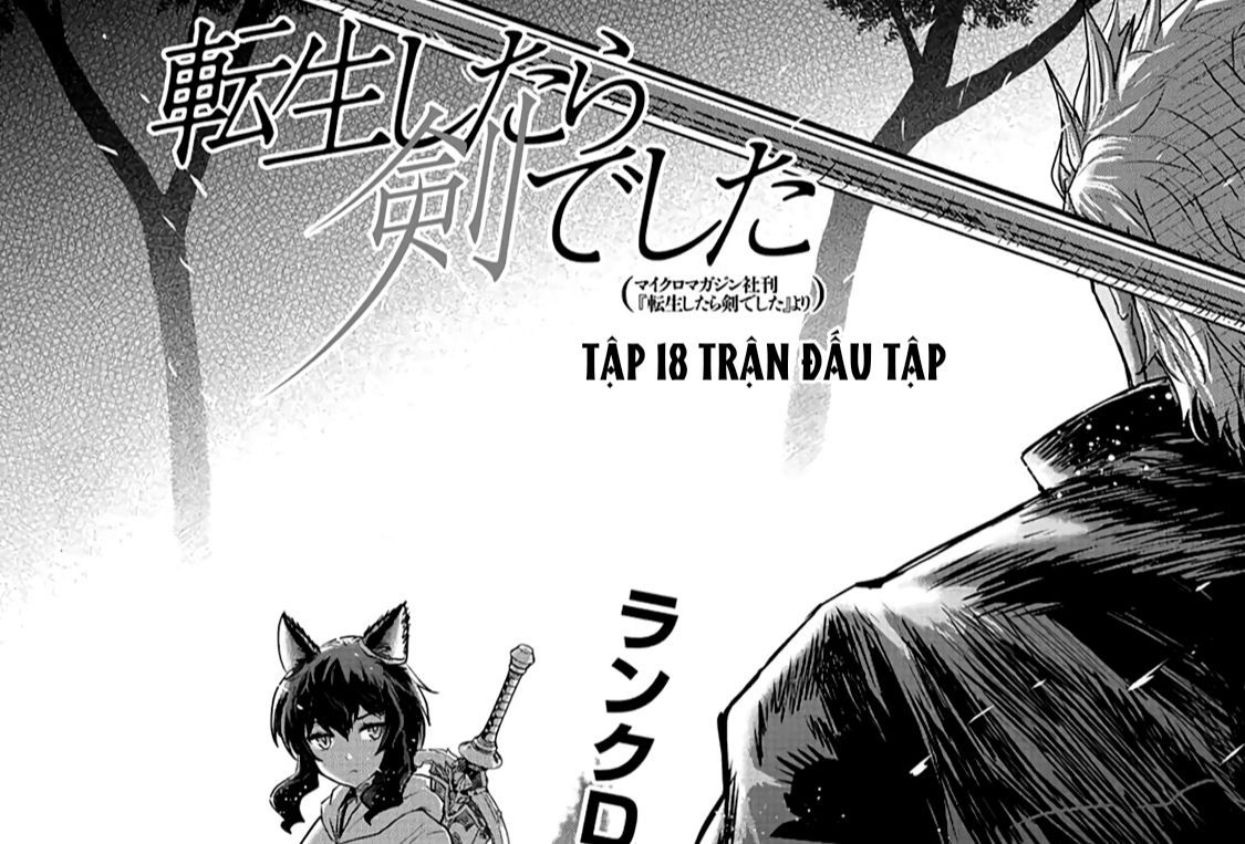 Khi Tôi Chuyển Sinh Thành Một Thanh Kiếm Chapter 18 - 3