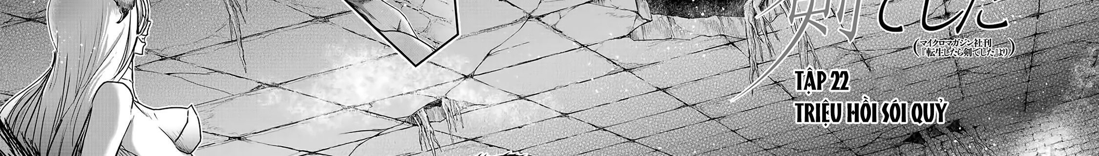 Khi Tôi Chuyển Sinh Thành Một Thanh Kiếm Chapter 22 - 6