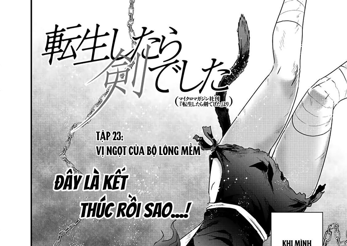 Khi Tôi Chuyển Sinh Thành Một Thanh Kiếm Chapter 23 - 4