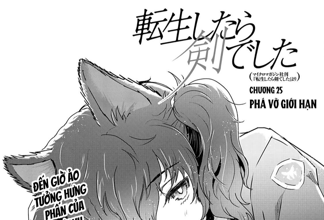 Khi Tôi Chuyển Sinh Thành Một Thanh Kiếm Chapter 25 - 2