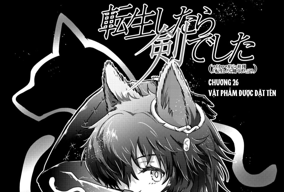 Khi Tôi Chuyển Sinh Thành Một Thanh Kiếm Chapter 26 - 2